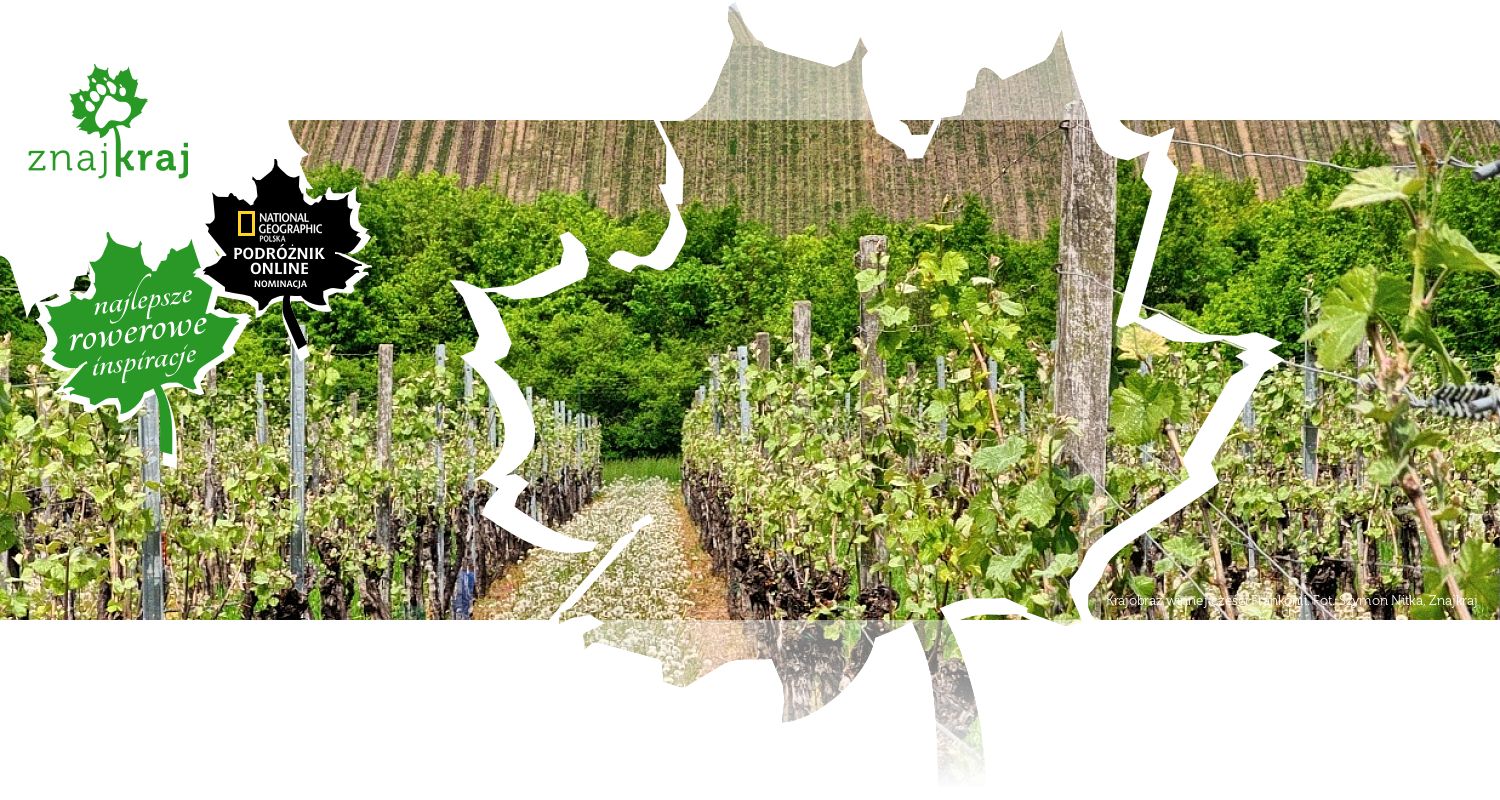 Krajobraz winnej części Frankonii