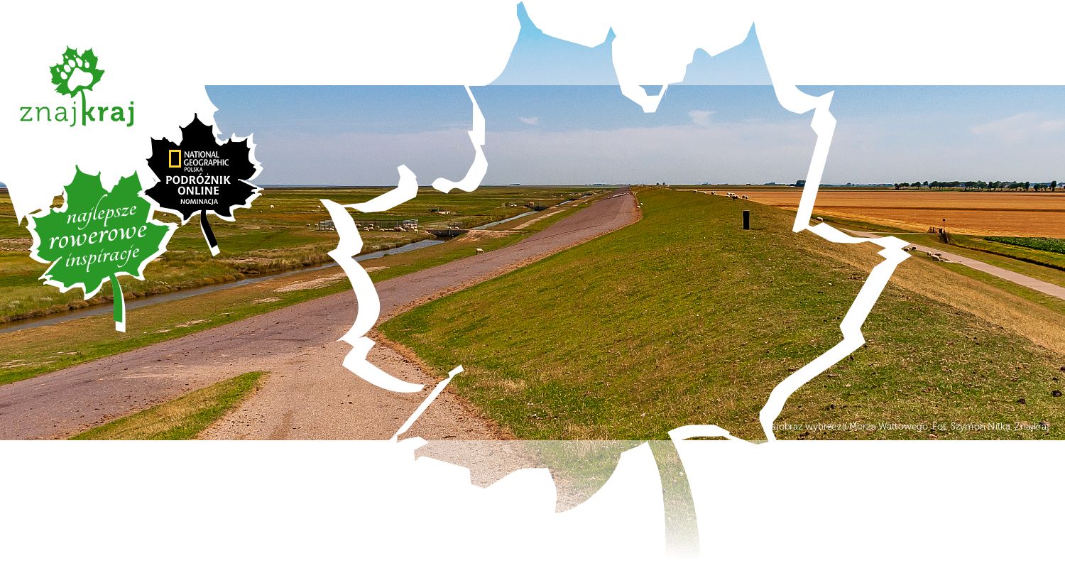Krajobraz wybrzeża Morza Wattowego