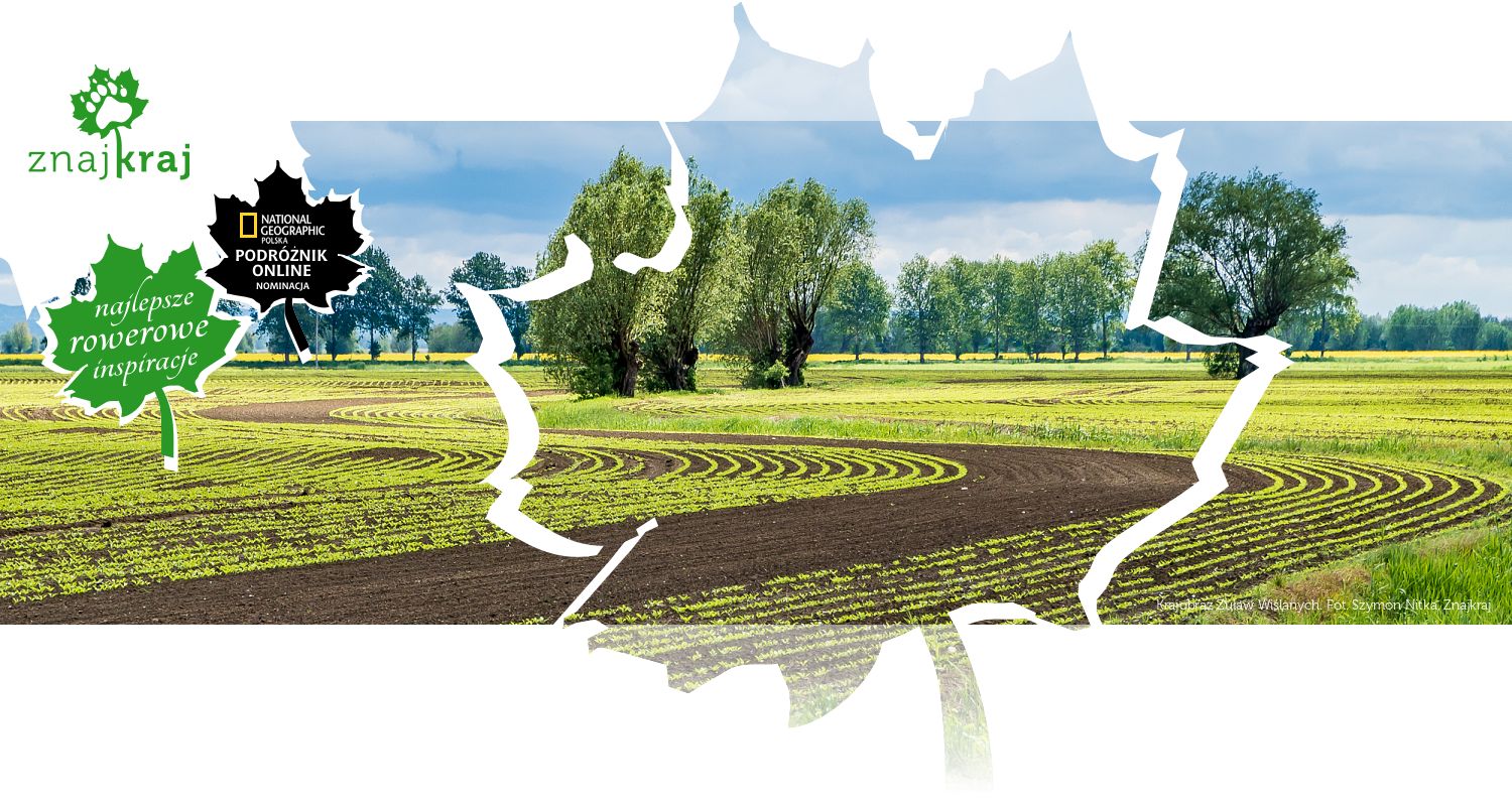 Krajobraz Żuław Wiślanych