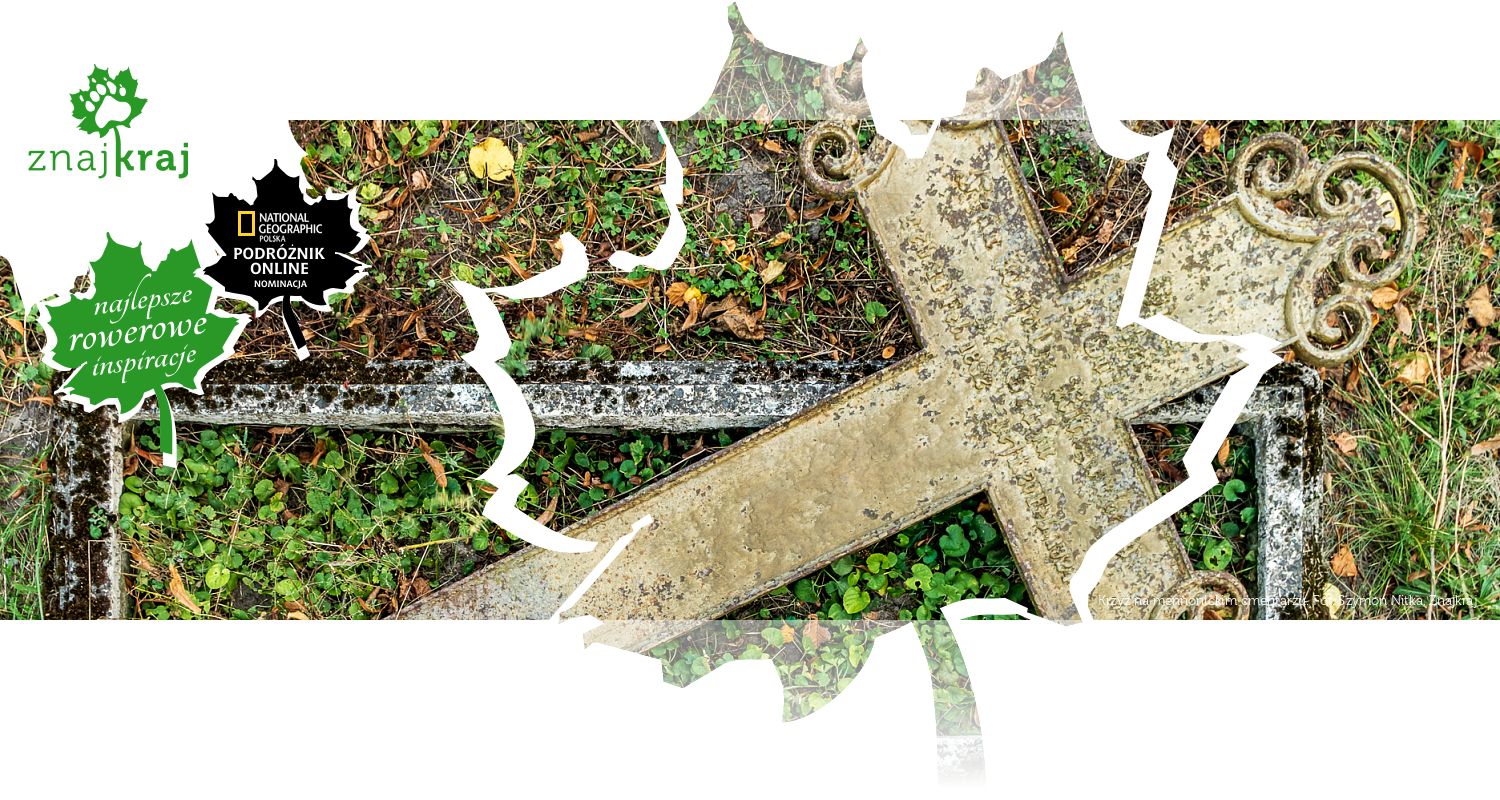 Krzyż na mennonickim cmentarzu