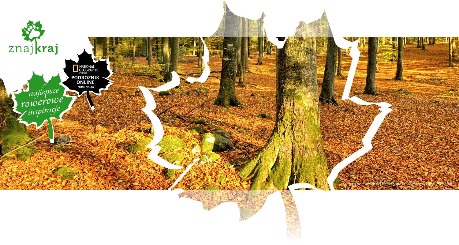 Kurhan w lesie koło Uniradzów