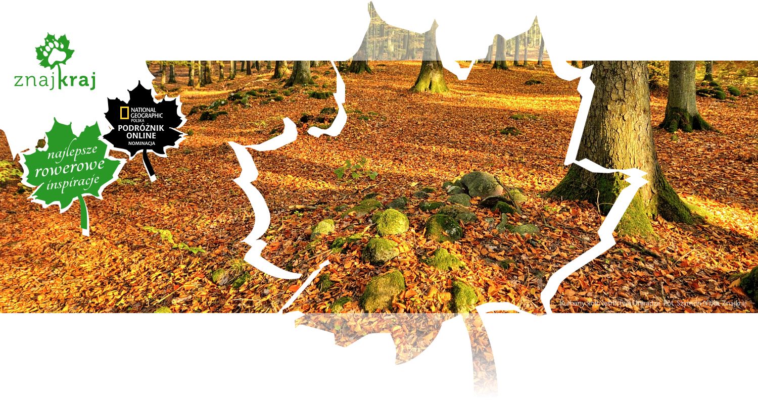 Kurhany koło leśnictwa Uniradze