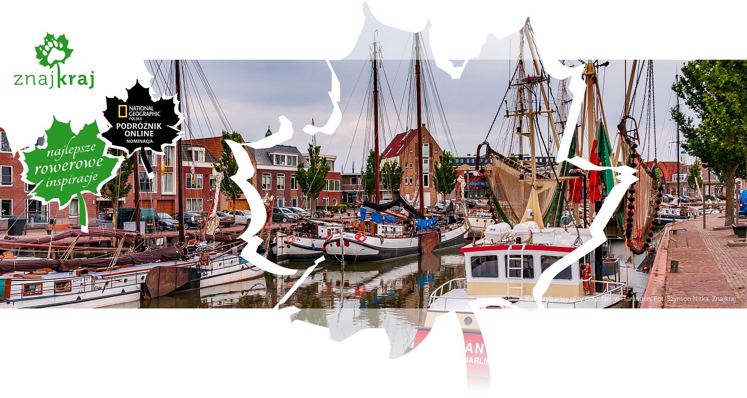 Kutry rybackie przy przystani w Harlingen