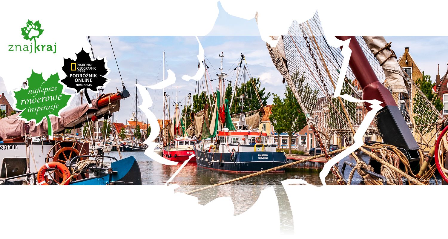 Kutry rybackie w porcie w Harlingen