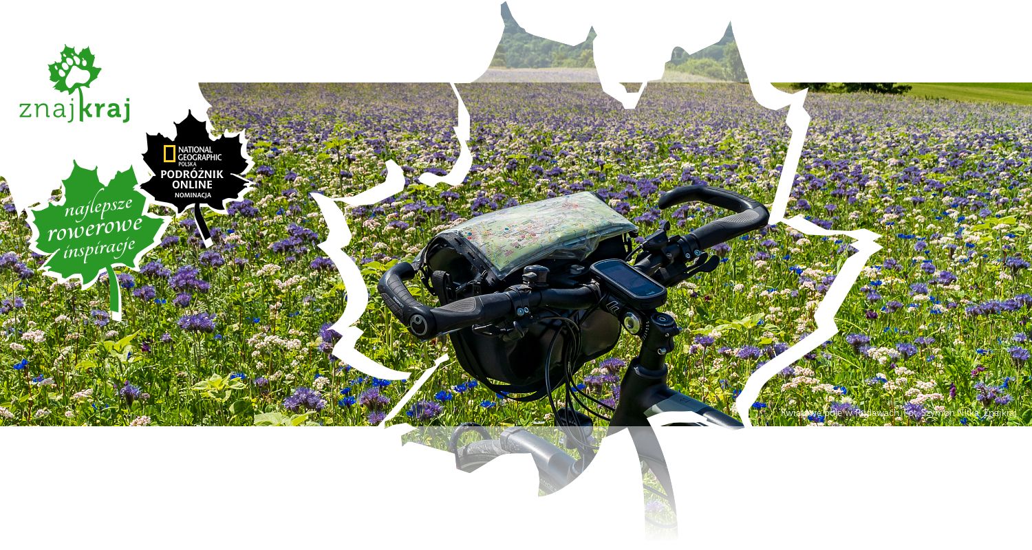 Kwiatowe pole w Rudawach