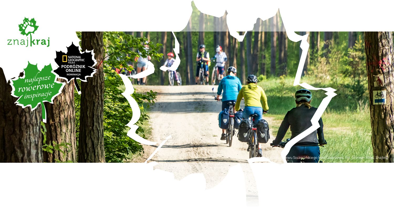 Las na szlaku Zalewu Szczecińskiego koło Goleniowa