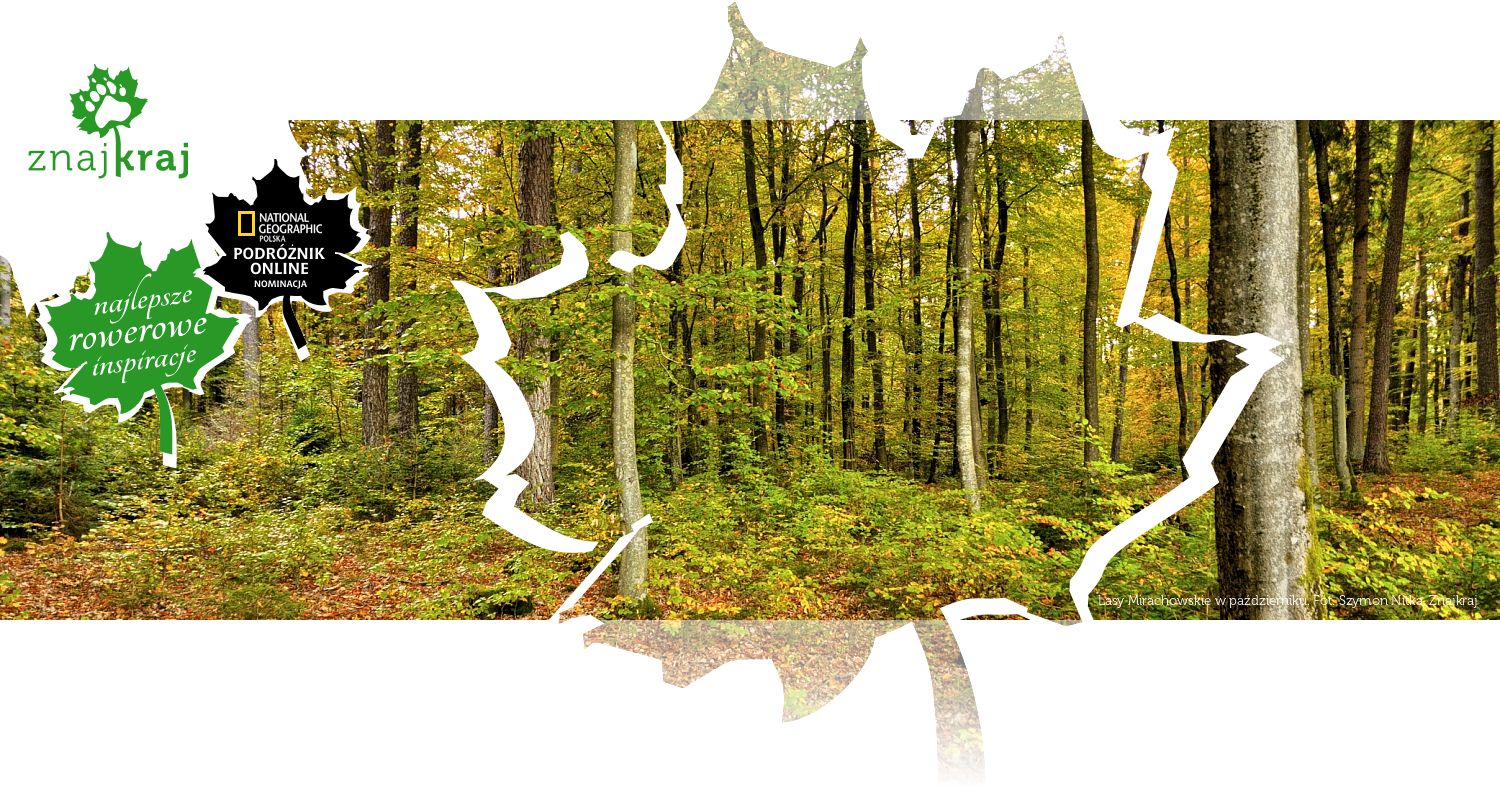Lasy Mirachowskie w październiku