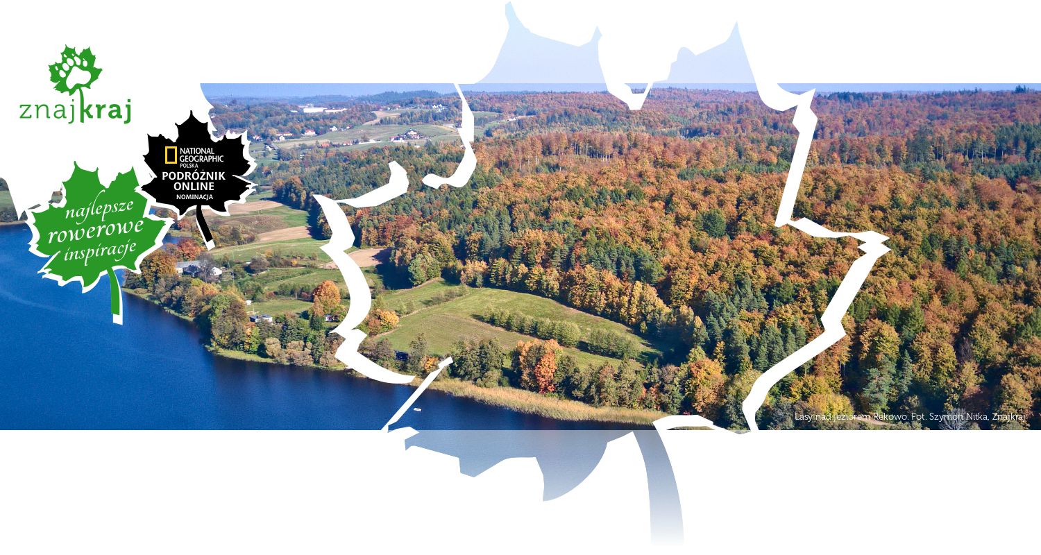 Lasy nad jeziorem Rekowo