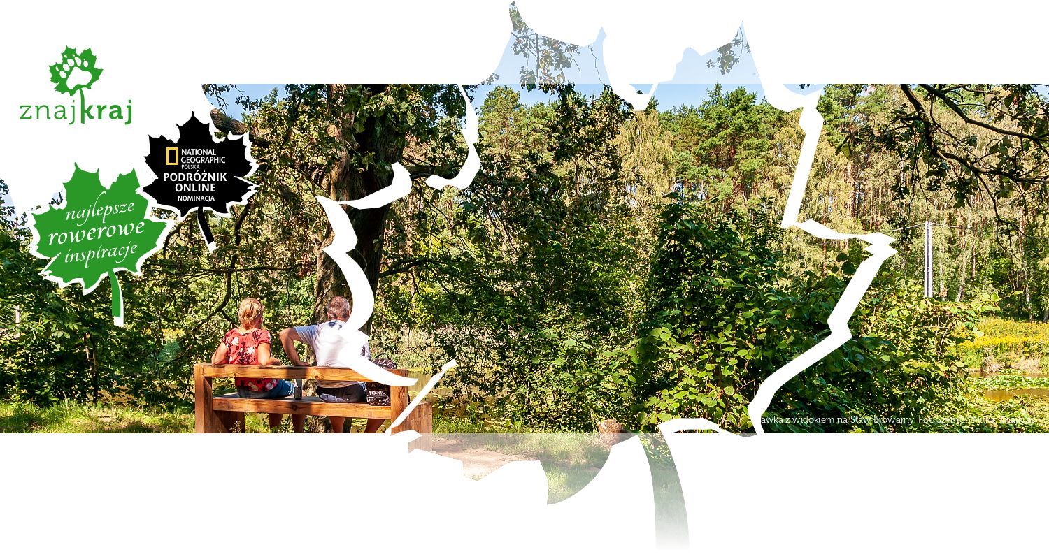 Ławka z widokiem na Staw Browarny