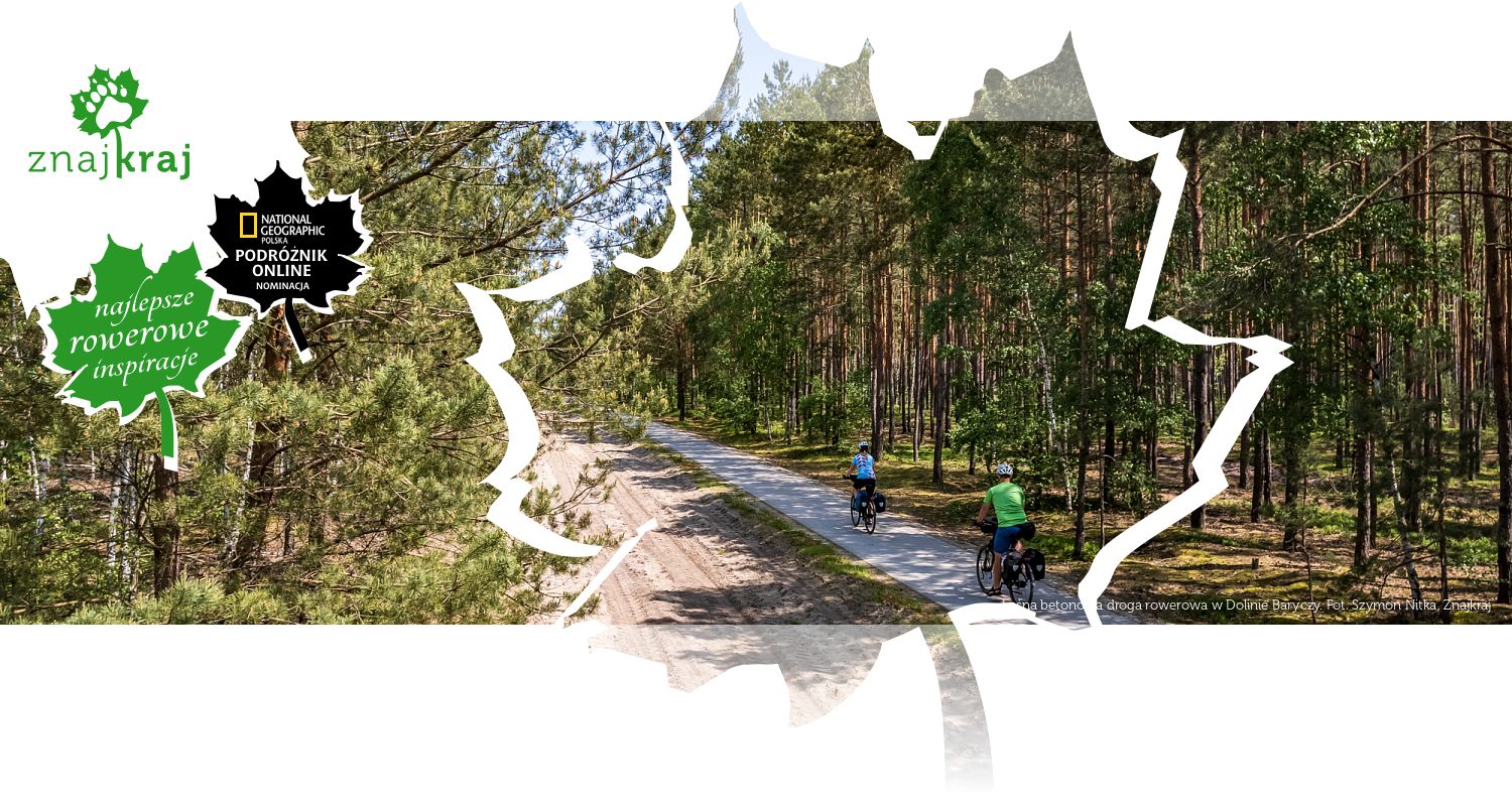 Leśna betonowa droga rowerowa w Dolinie Baryczy