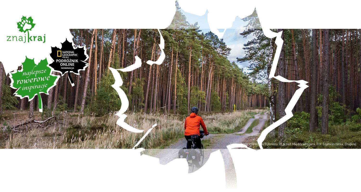 Leśna droga rowerowa EuroVelo 10 przed Międzyzdrojami