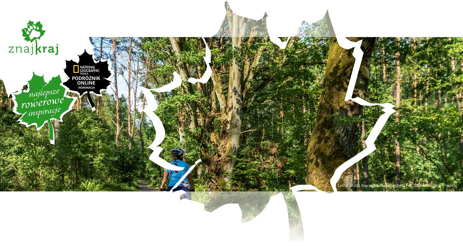 Leśna droga rowerowa koło Lychen