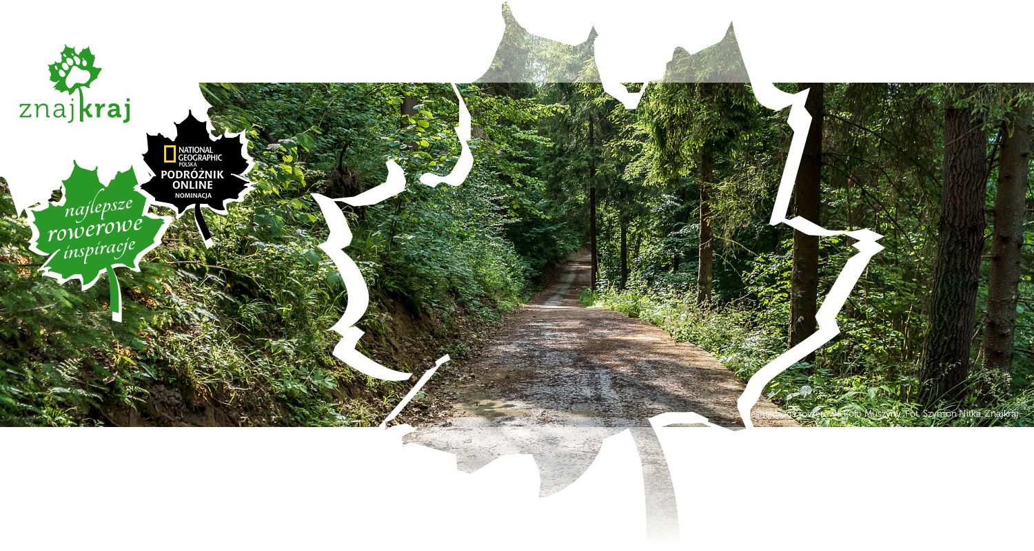 Leśna droga rowerowa koło Muszyny