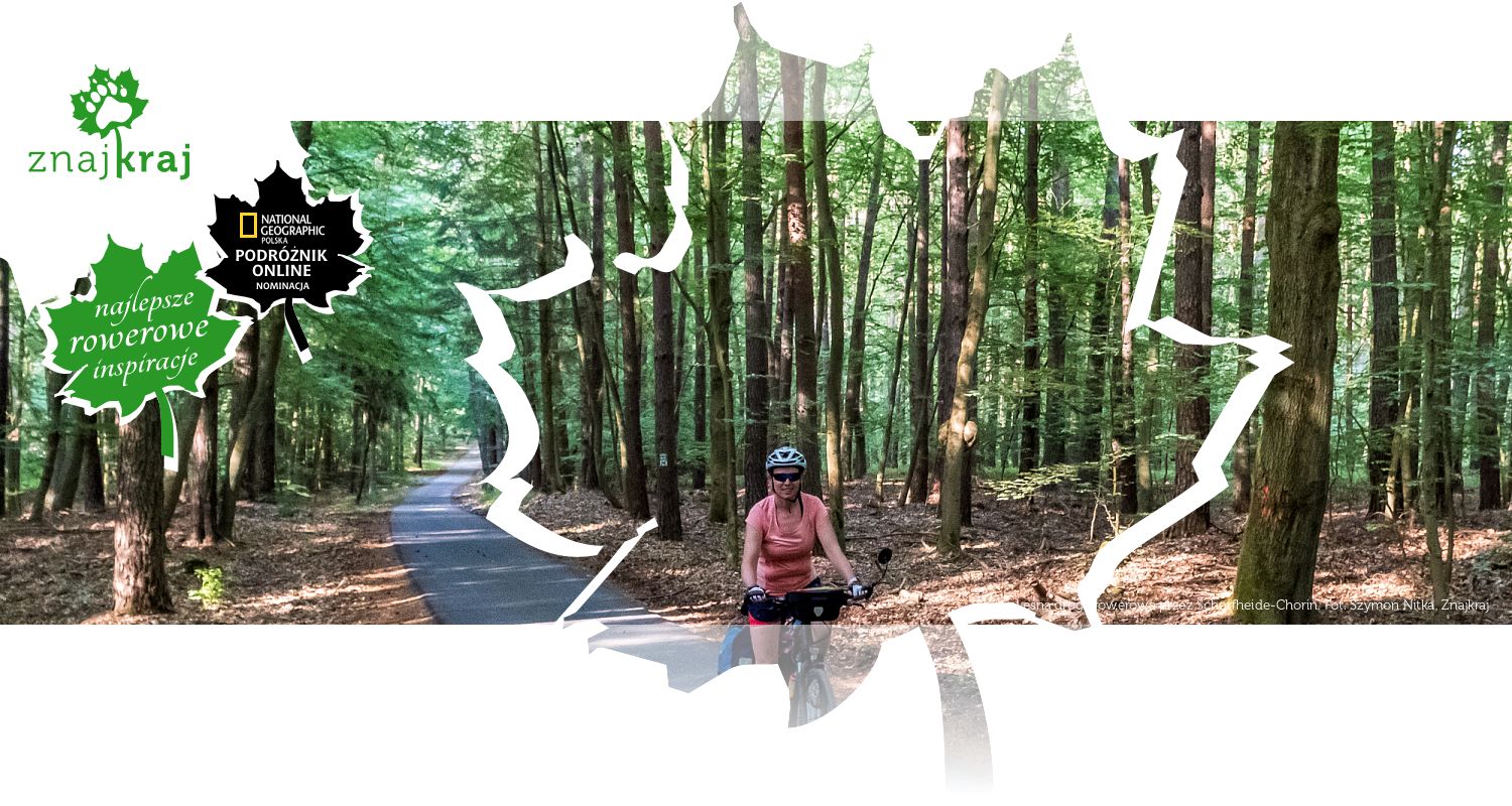 Leśna droga rowerowa przez Schorfheide-Chorin