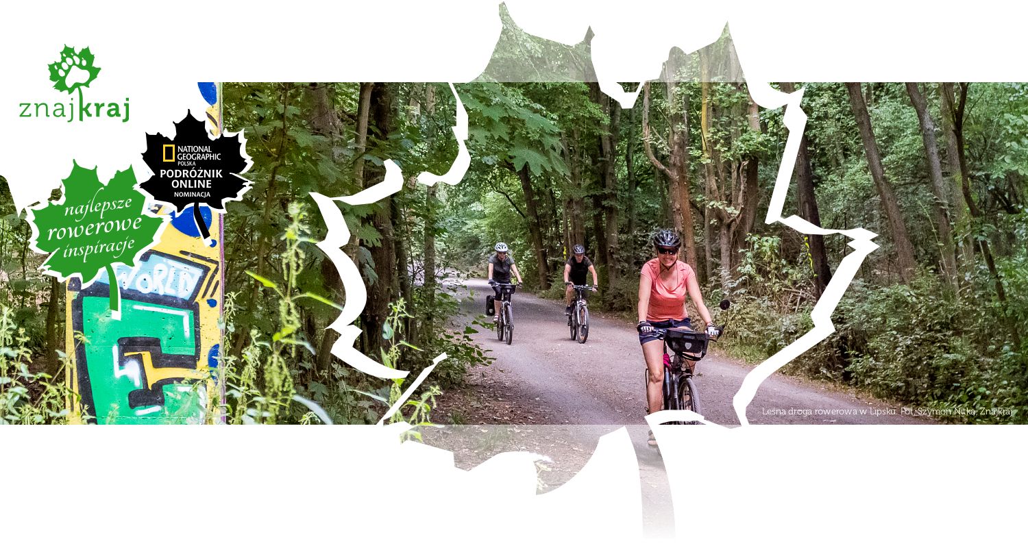 Leśna droga rowerowa w Lipsku