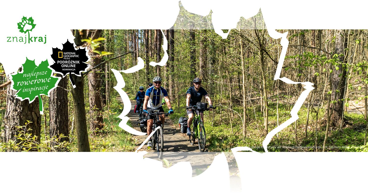 Leśna droga rowerowa we wschodniej Brandenburgii