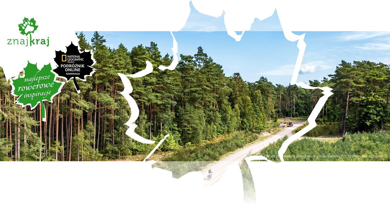 Leśna droga szutrowa na południe od jeziora Sarbsko