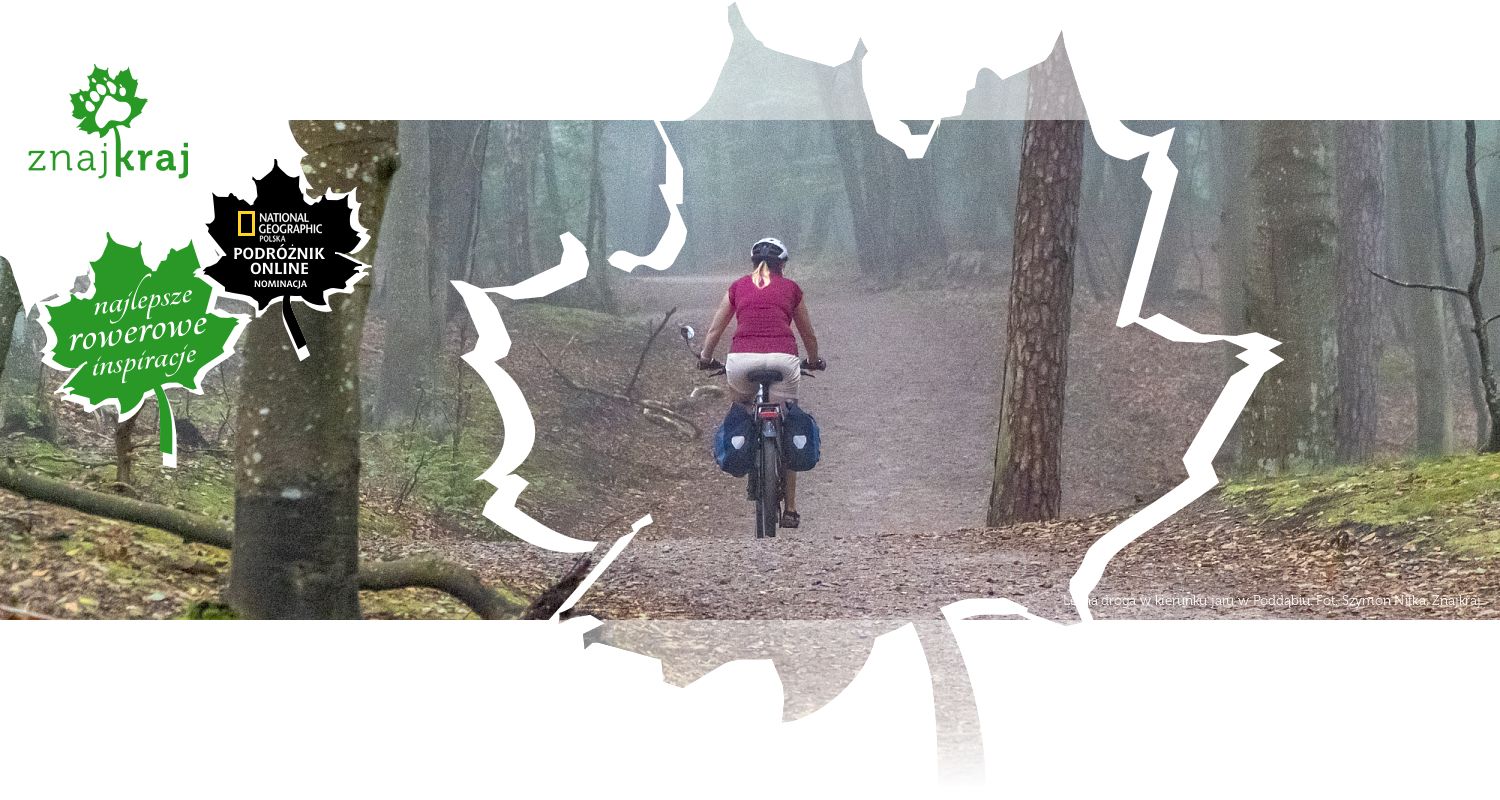 Leśna droga w kierunku jaru w Poddąbiu