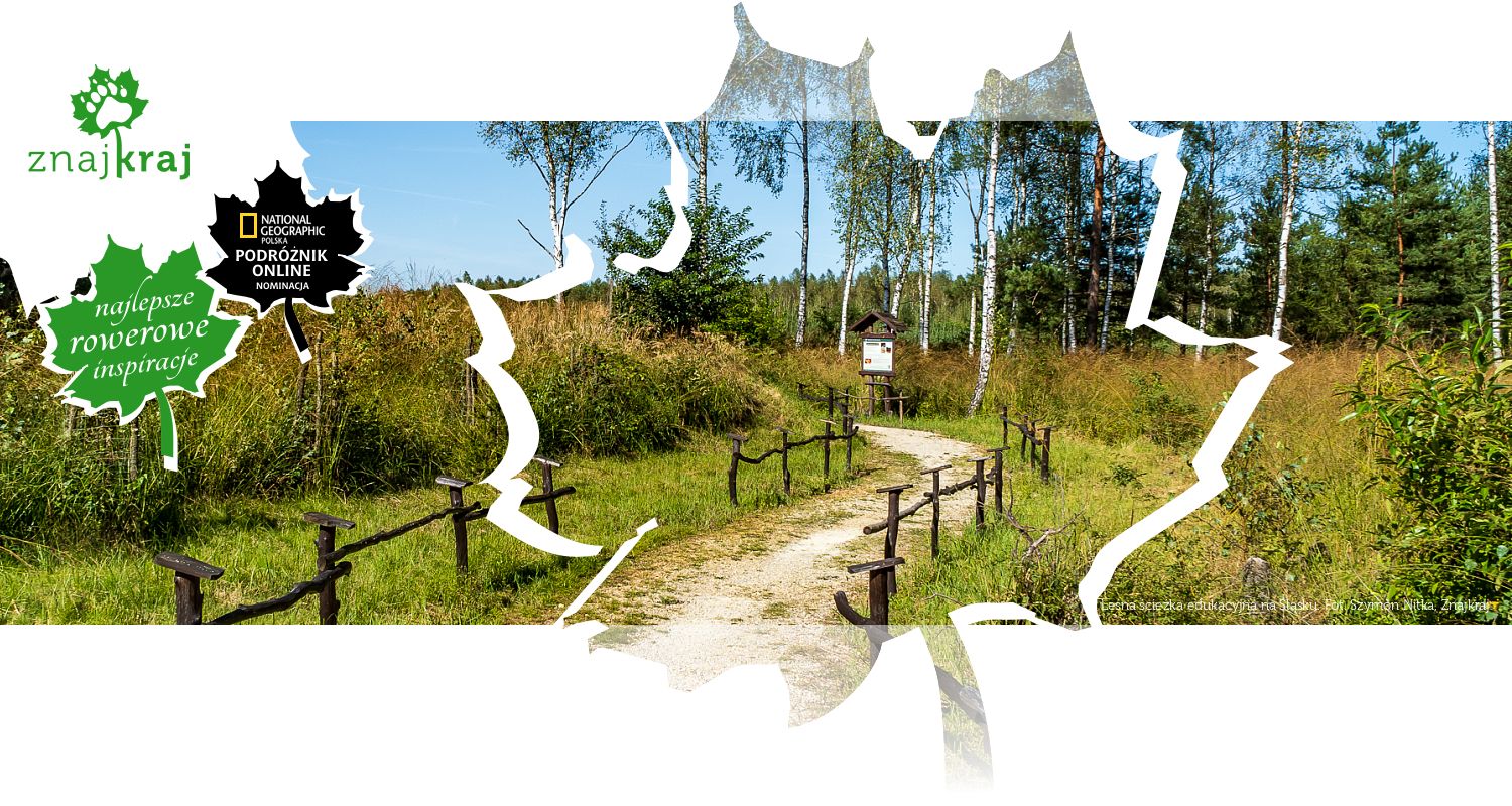Leśna ścieżka edukacyjna na Śląsku