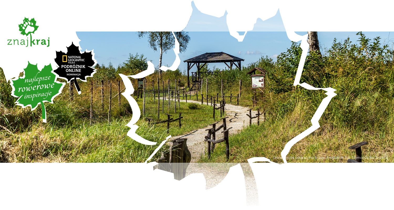 Leśna ścieżka edukacyjna w lasach rudzkich