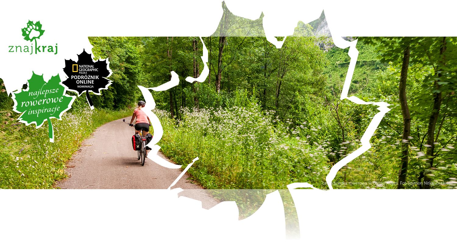Leśna ścieżka rowerowa w Górnej Austrii