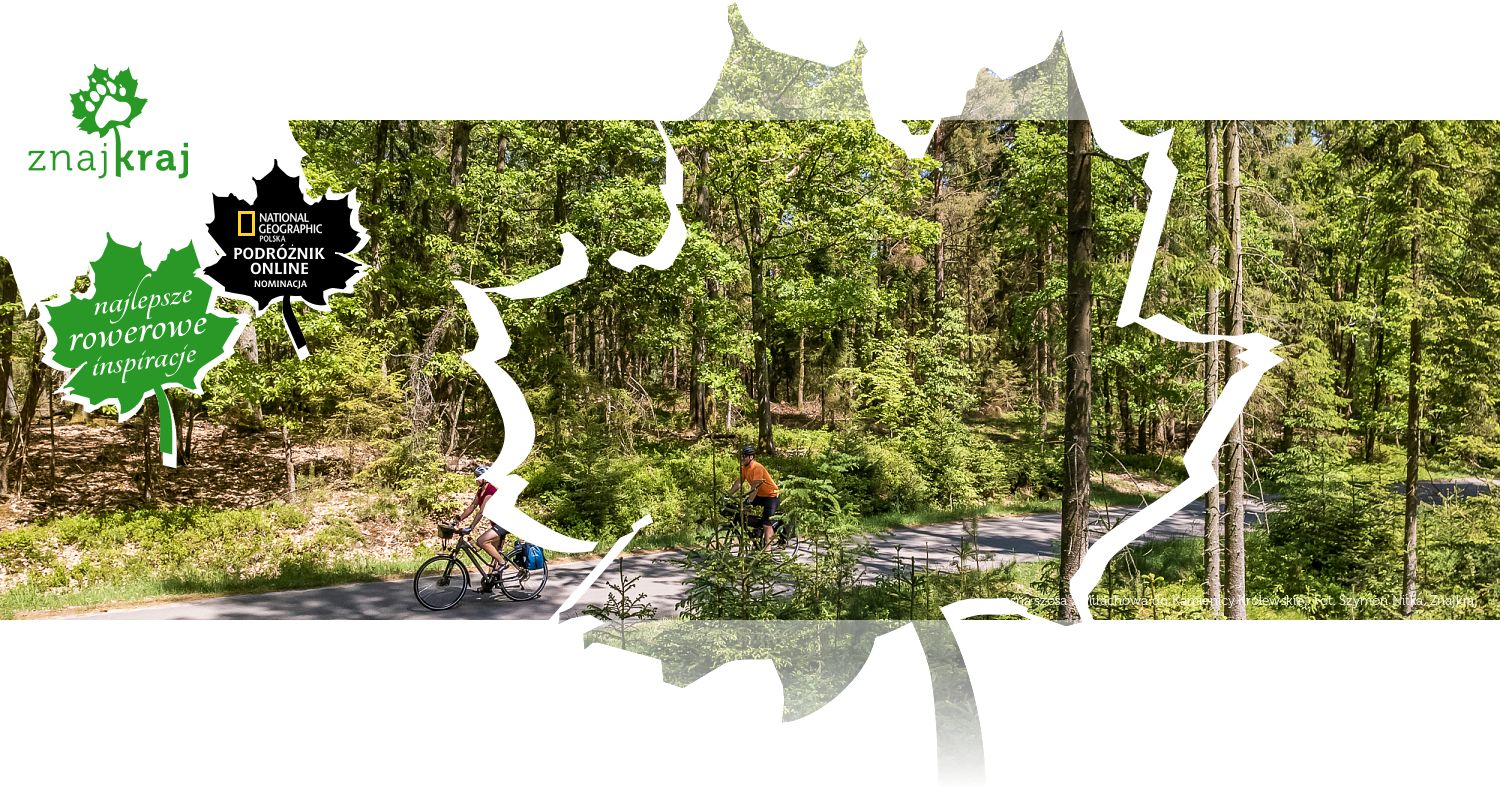 Leśna szosa z Mirachowa do Kamienicy Królewskiej