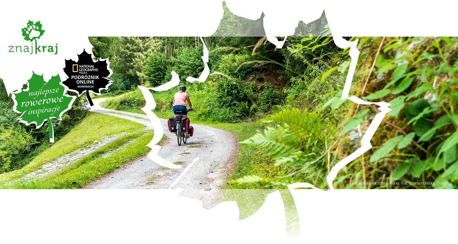 Leśna trasa na szlaku Renu