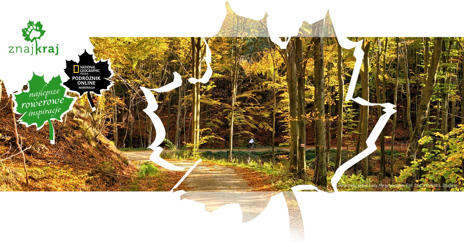 Leśna trasa przez Lasy Mirachowskie