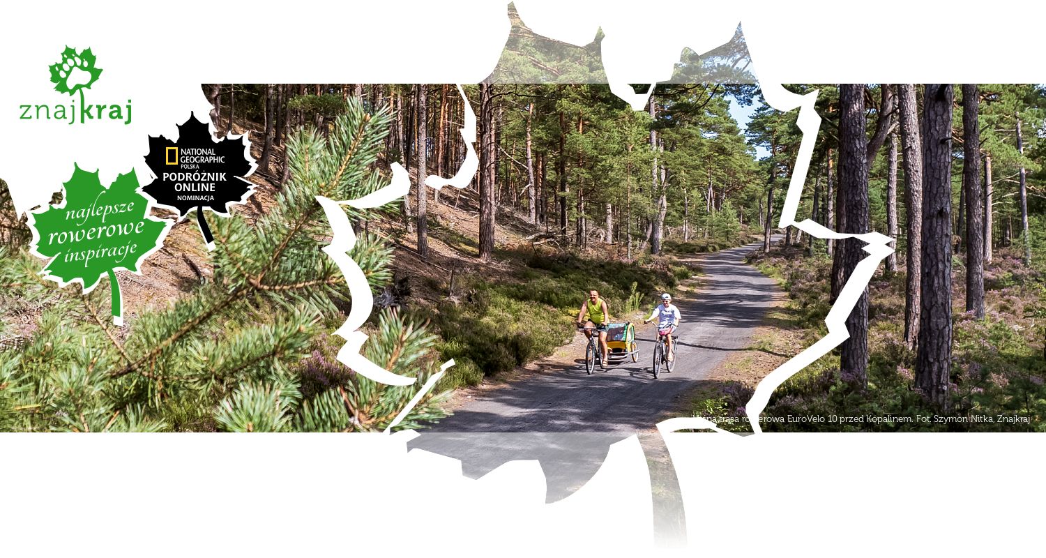 Leśna trasa rowerowa EuroVelo 10 przed Kopalinem
