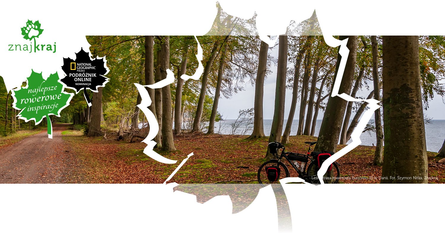 Leśna trasa rowerowa EuroVelo 10 w Danii