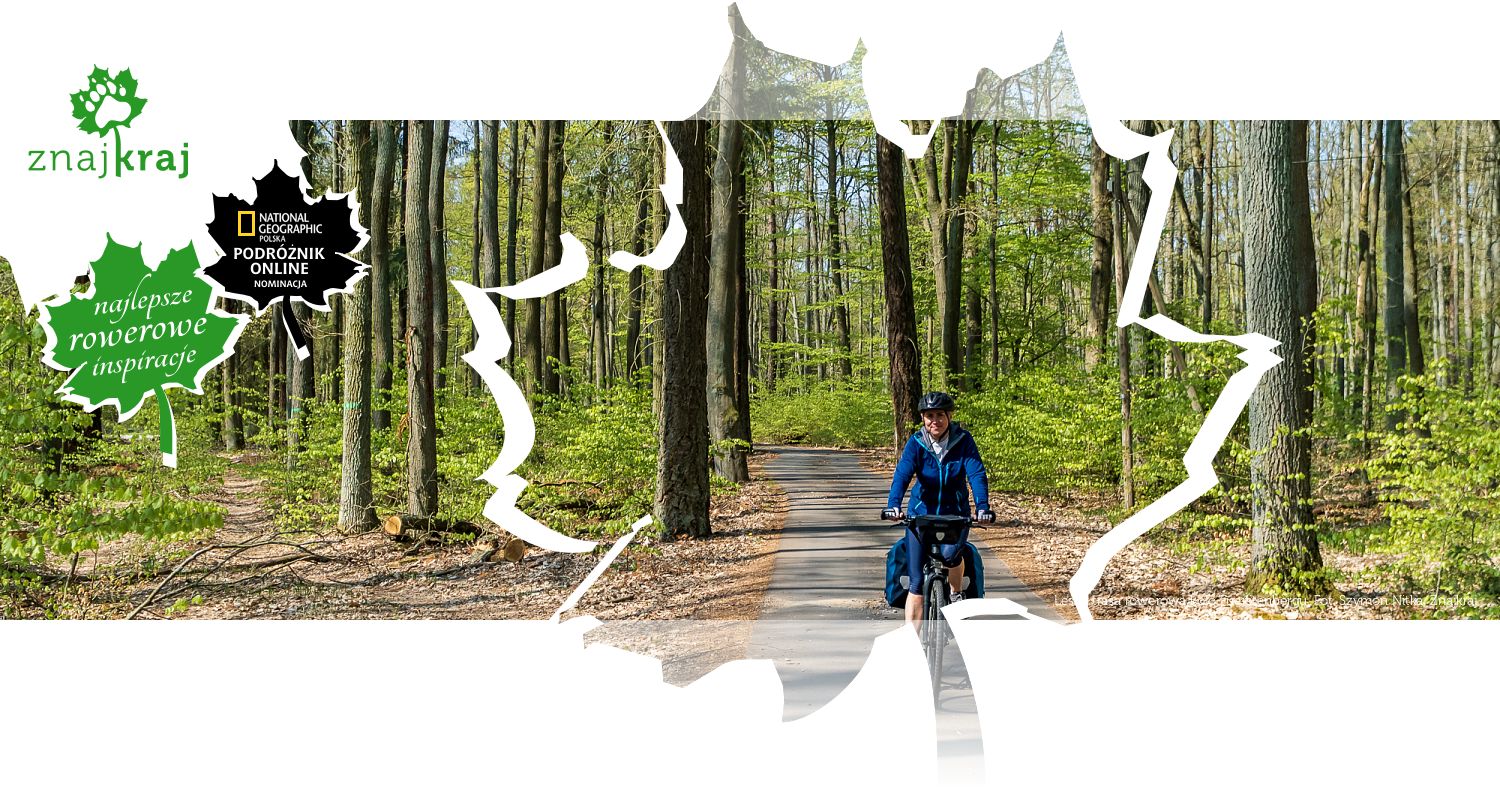 Leśna trasa rowerowa koło Fuerstenbergu