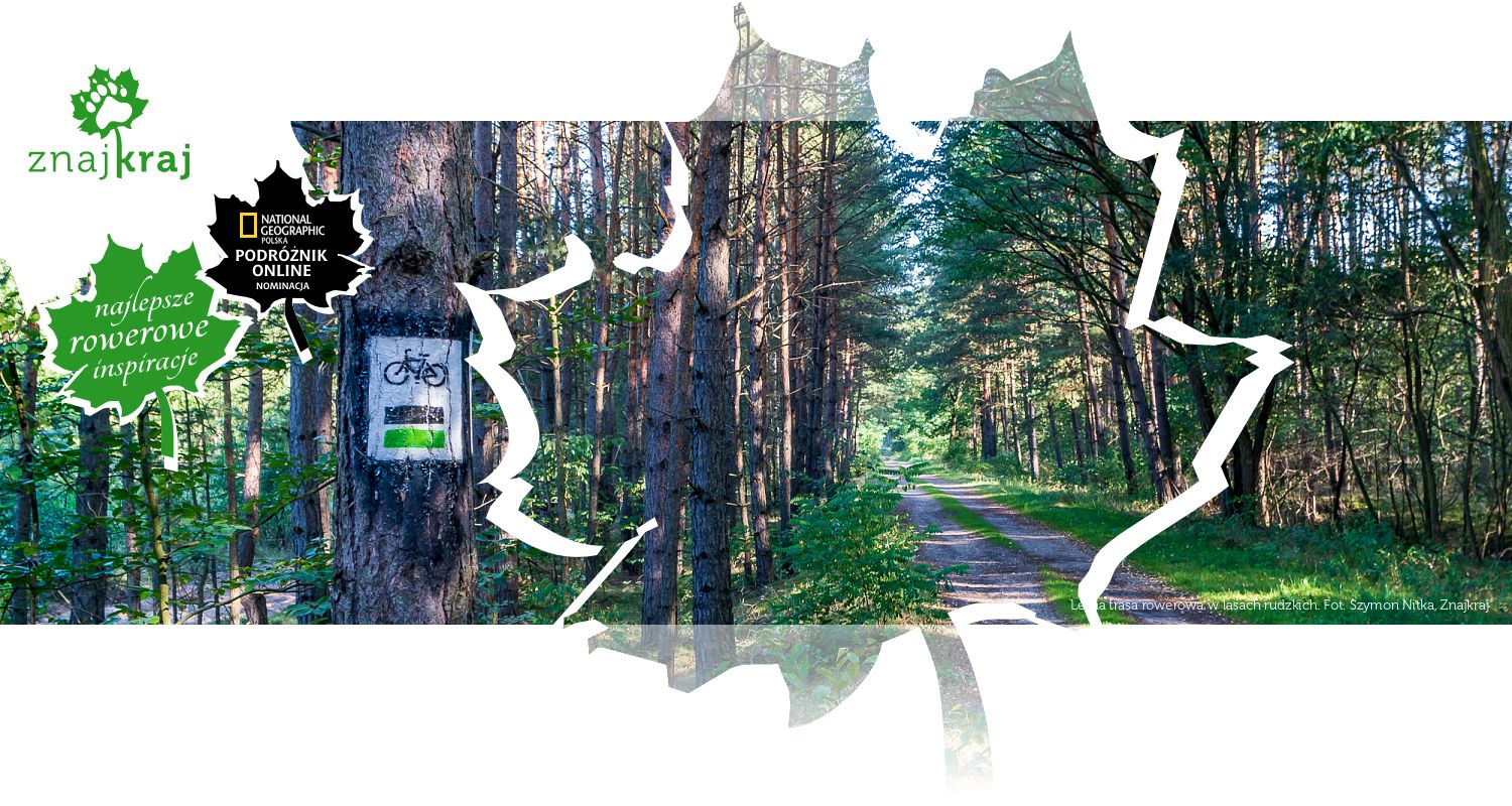 Leśna trasa rowerowa w lasach rudzkich