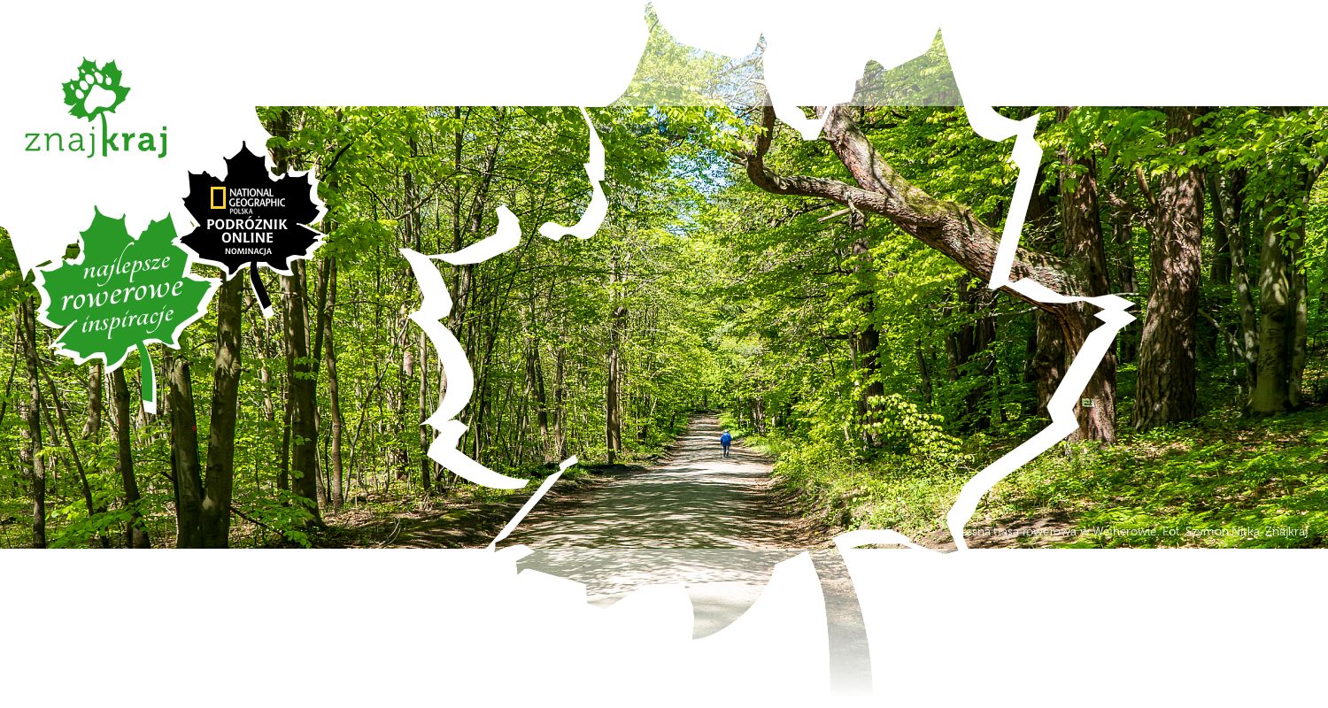 Leśna trasa rowerowa w Wejherowie