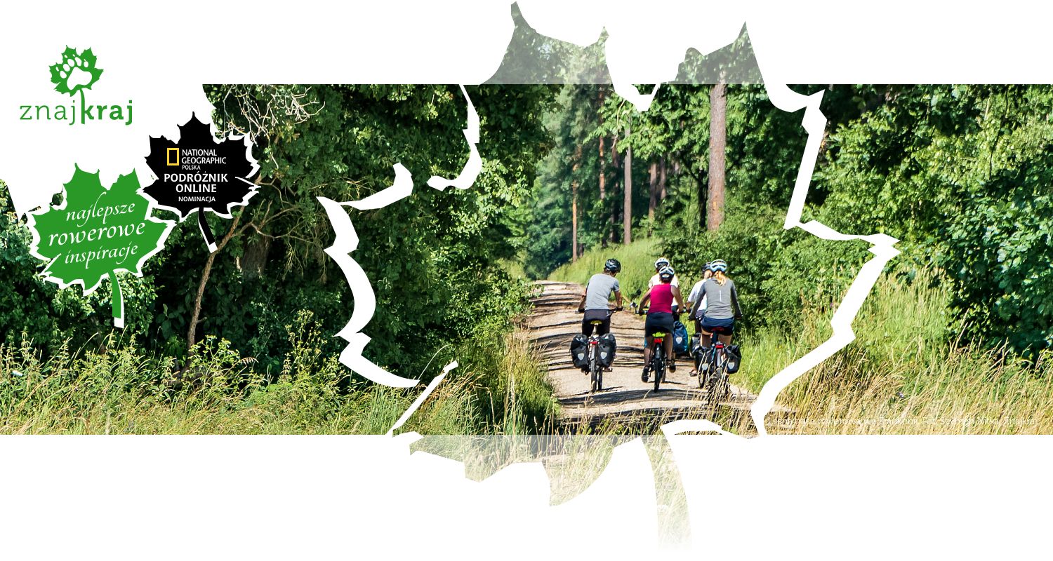 Leśna trasa rowerowa we Frankonii
