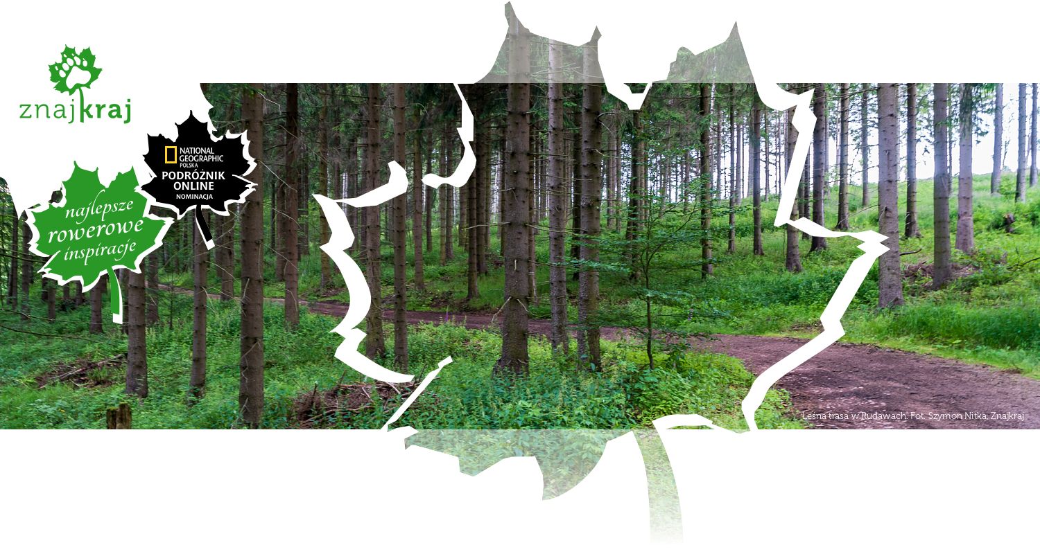 Leśna trasa w Rudawach