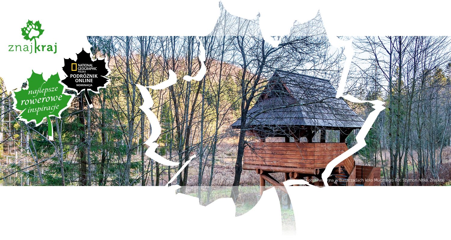 Leśna wieża obserwacyjna w Bieszczadach koło Mucznego