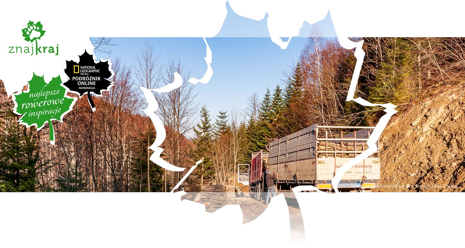 Leśne prace w Bieszczadach