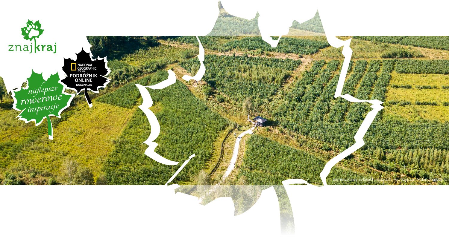 Leśne uprawy w lasach rudzkich