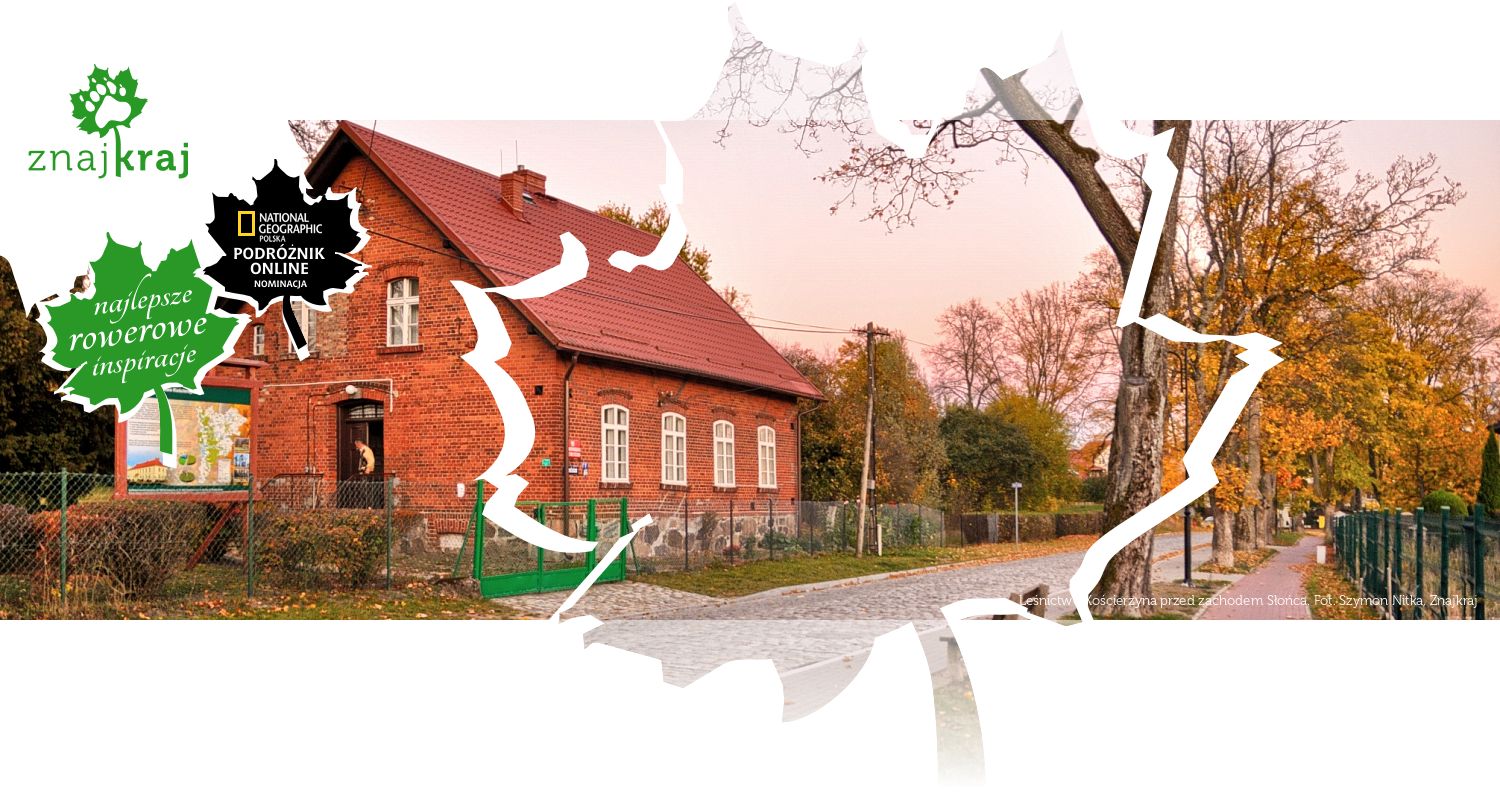 Leśnictwo Kościerzyna przed zachodem Słońca