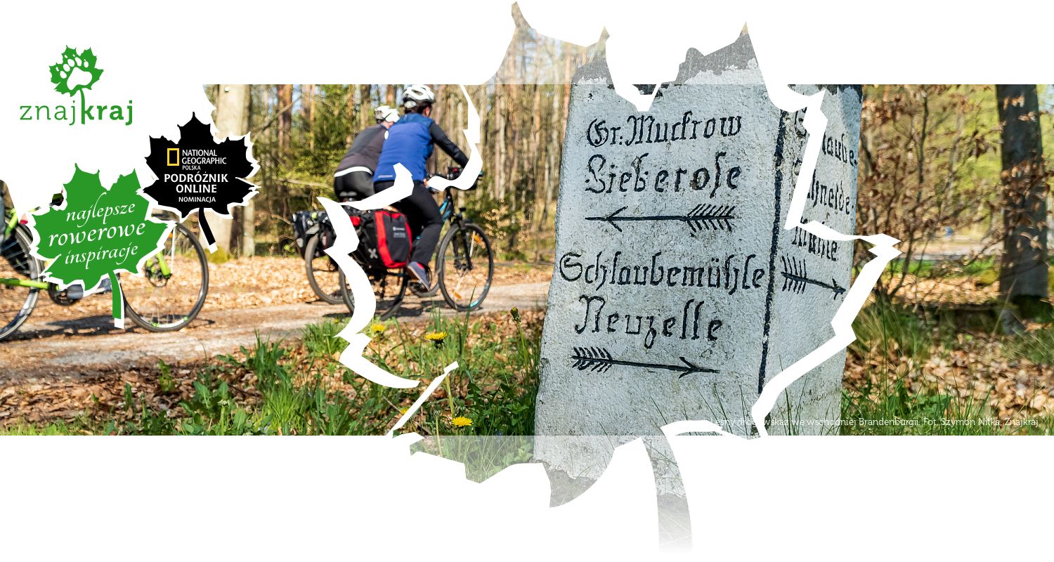 Leśny drogowskaz we wschodniej Brandenburgii