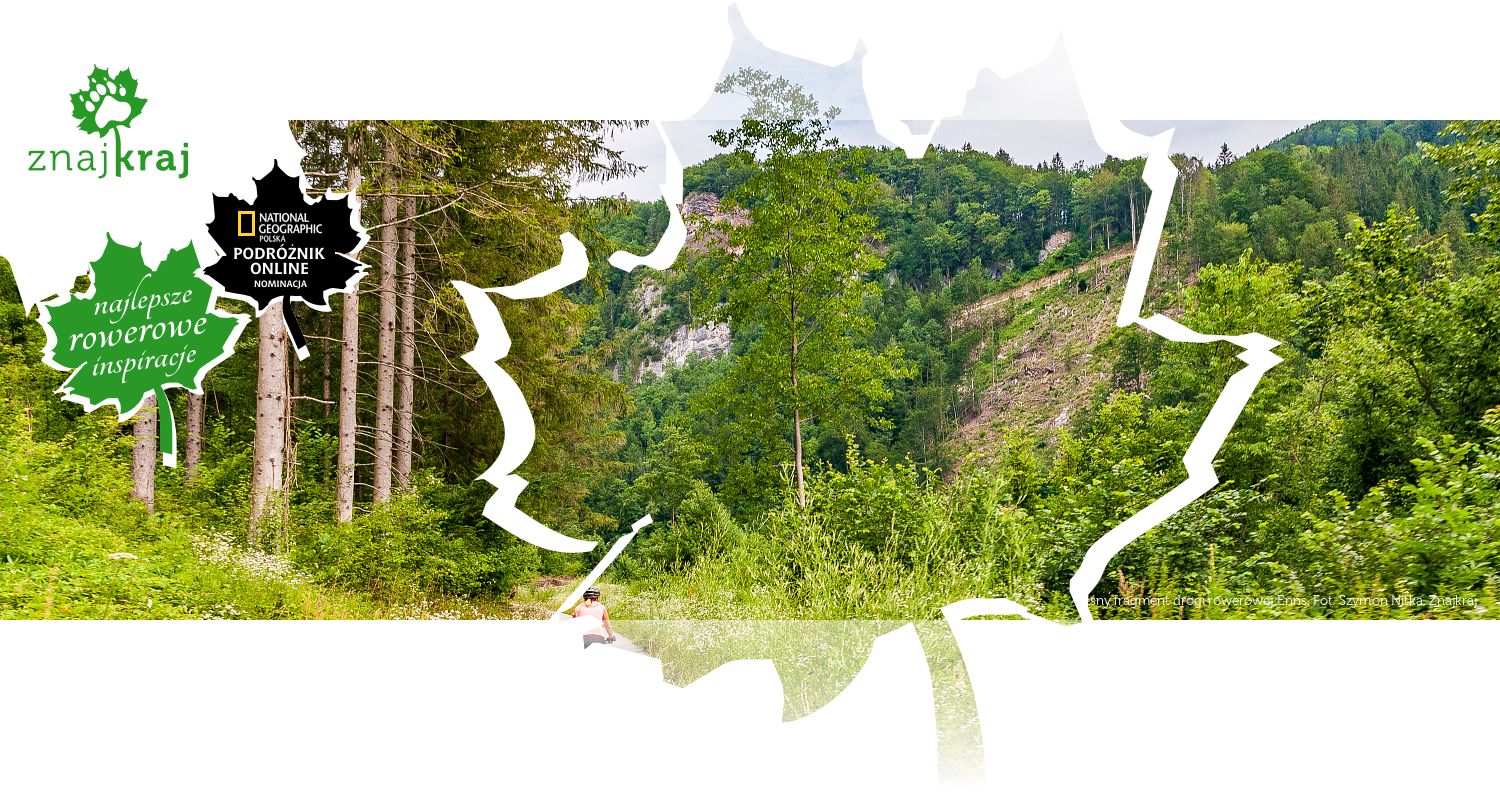 Leśny fragment drogi rowerowej Enns