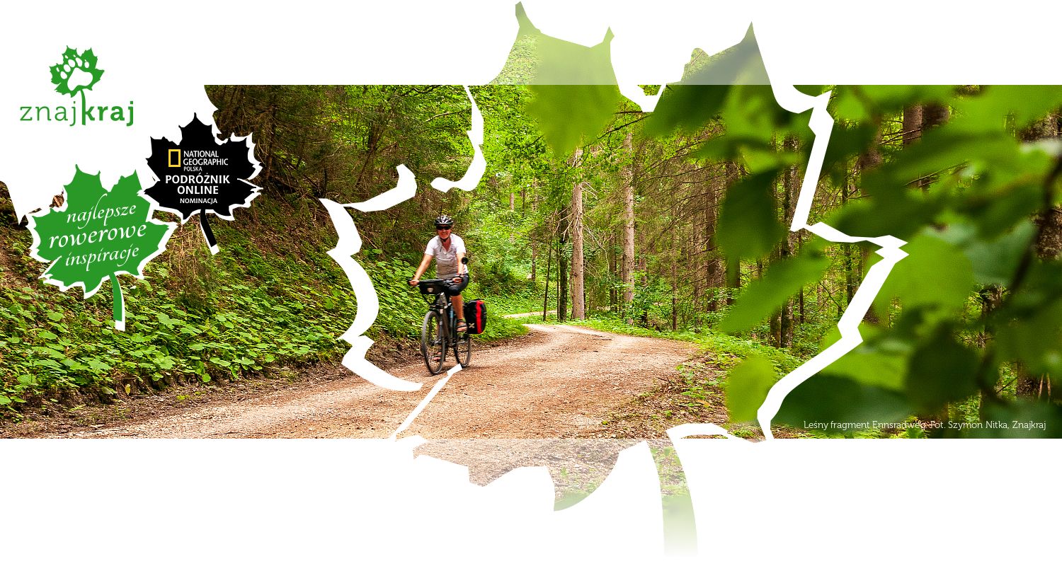 Leśny fragment Ennsradweg