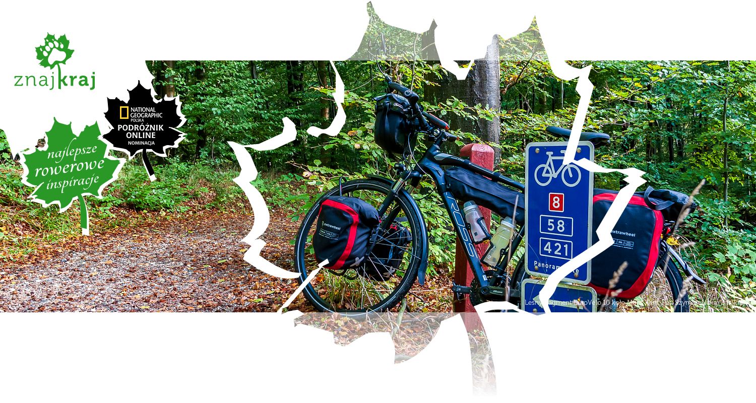 Leśny fragment EuroVelo 10 koło Møns Klint