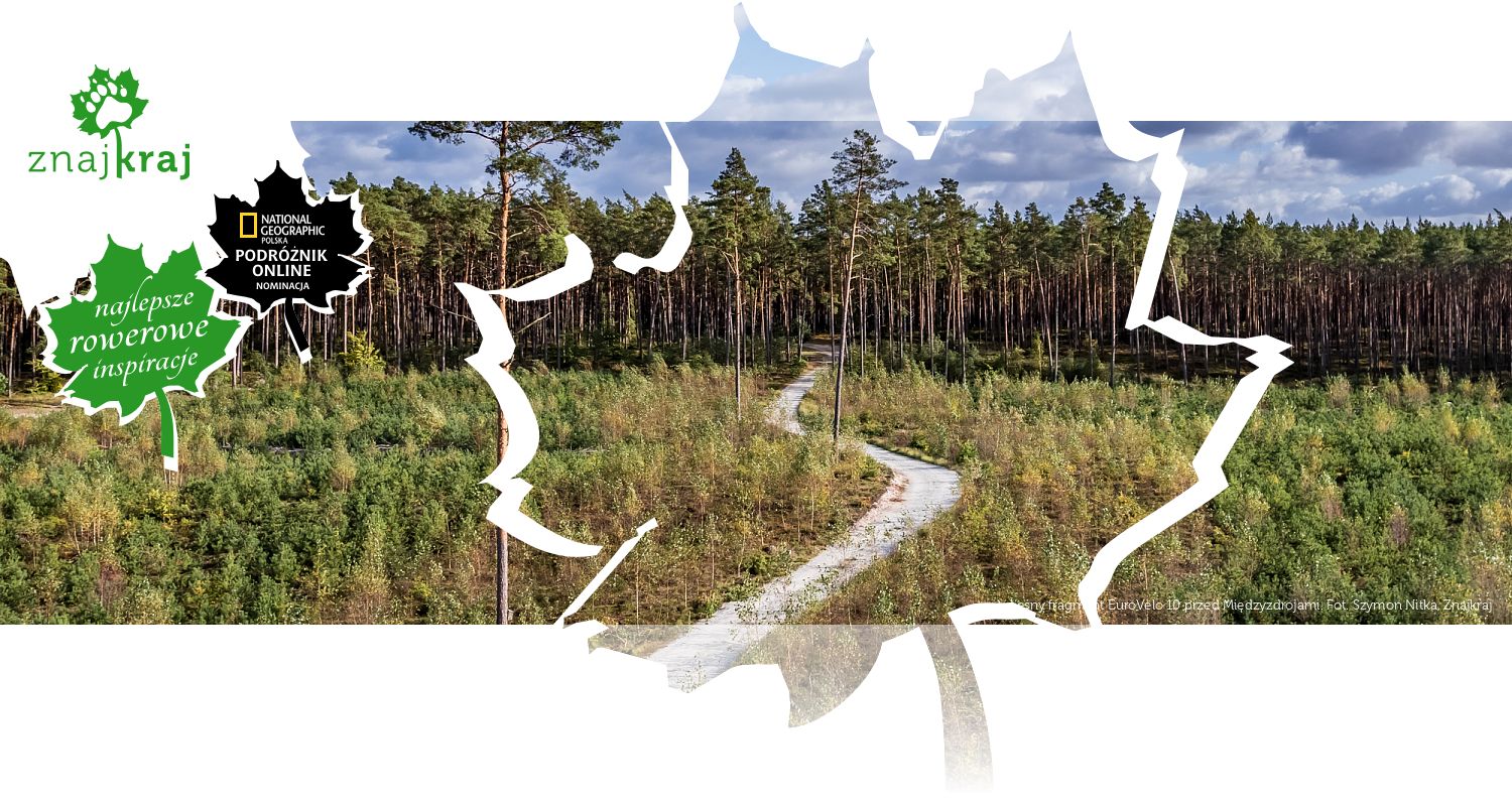 Leśny fragment EuroVelo 10 przed Międzyzdrojami