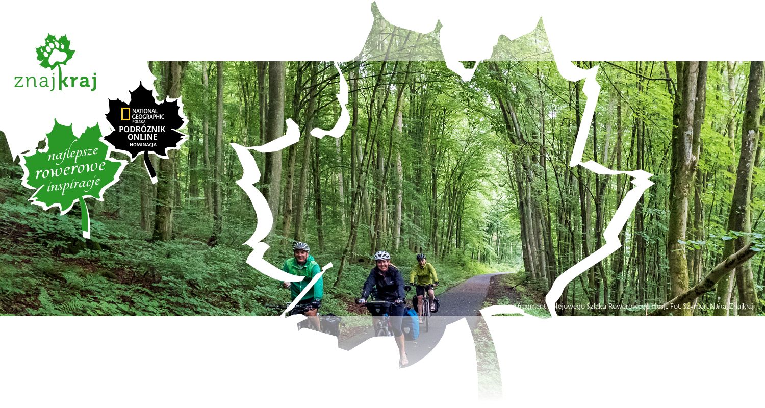 Leśny fragment Kolejowego Szlaku Rowerowego Hesji