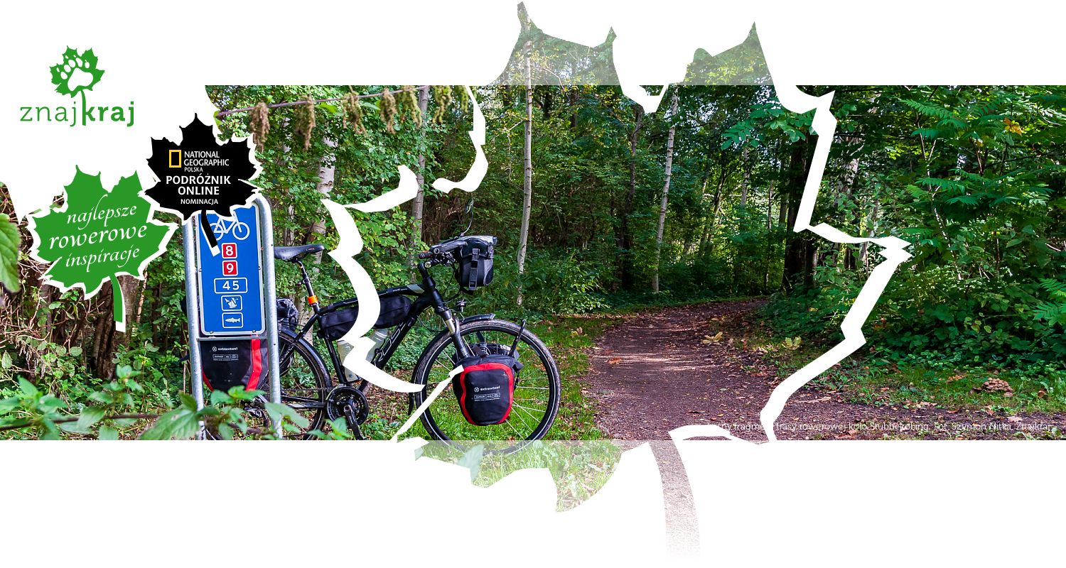 Leśny fragment trasy rowerowej koło Stubbekøbing