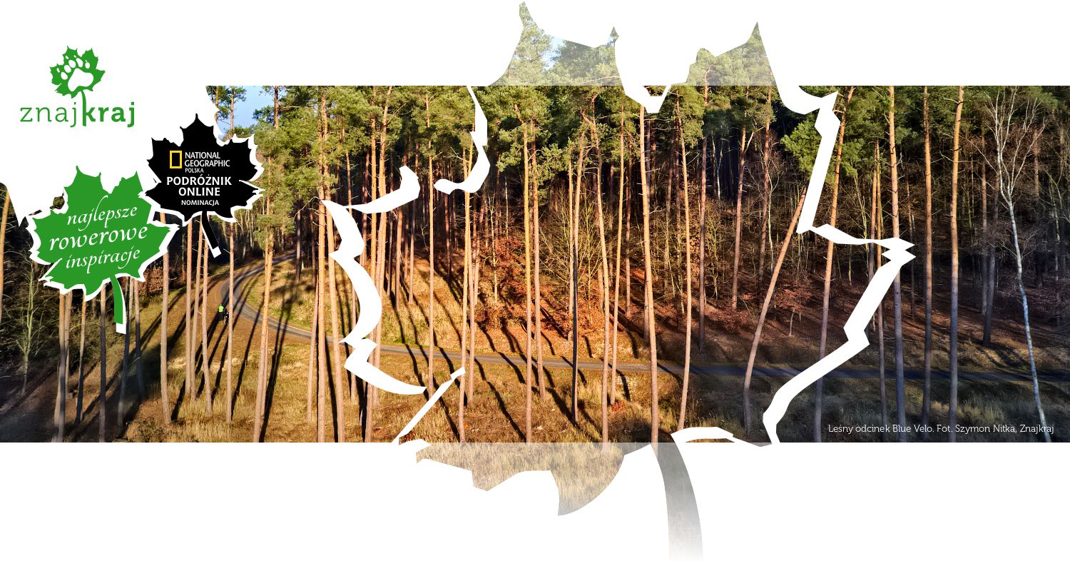 Leśny odcinek Blue Velo