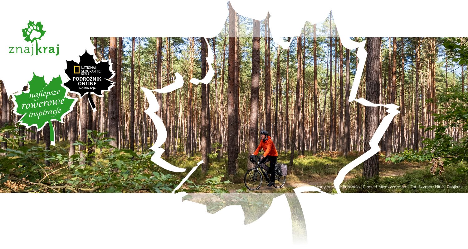 Leśny odcinek EuroVelo 10 przed Międzyzdrojami