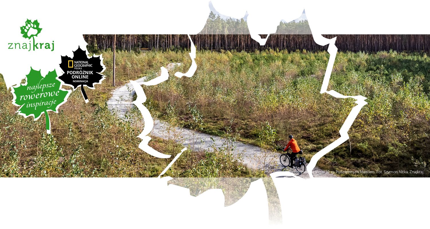 Leśny odcinek EuroVelo 10 za Podziemnym Miastem