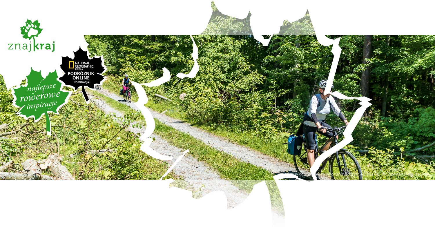 Leśny odcinek Green Velo na Wysoczyźnie Elbląskiej